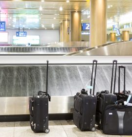 garment bag for flying